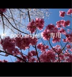 coco ange様　専用のサムネイル