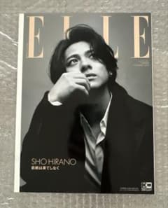 増刊 ELLE JAPON 特別版 2023年11月号 - メルカリ