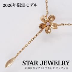 【STAR JEWELRY】K10PG ピンクダイヤモンドネックレス 2026 STAR JEWELRY】K10PG ピンクダイヤモンドネックレス 2026 - メルカリ