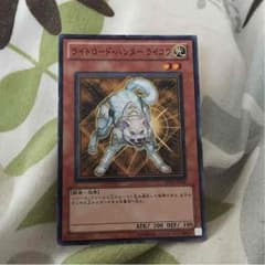 ライトロードハンターライコウのサムネイル