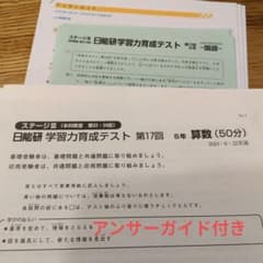 日能研 学習力育成テスト 5年生 4教科 アンサーガイド付き - メルカリ