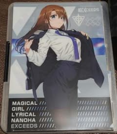 魔法少女リリカルなのは アニメ フェイト 限定 新品 特典 はやて 未使用 魔法少女リリカルなのはEXCEEDS 2巻特典 クリアファイル 八神はやて