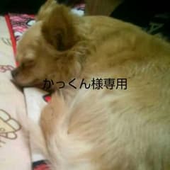 かっくん様専用のサムネイル