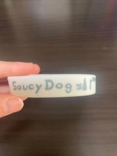 Saucy Dog ラバーバンドのサムネイル