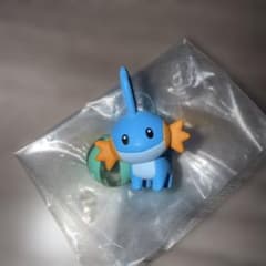 ポケモン　ぎらぎらサンシャイン　ミズゴロウのサムネイル