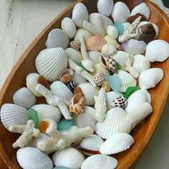 貝殻☆珊瑚☆シーグラスセットのサムネイル