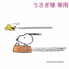 うさぎ様専用のサムネイル