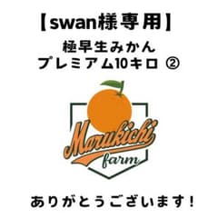 【swan様専用】極早生みかんプレミアム10キロ②のサムネイル