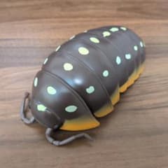 だんごむし05 だんごむしとだいおうぐそくむし　モンテネグロダンゴムシのサムネイル