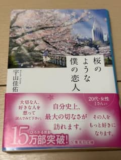 桜のような僕の恋人 宇山佳佑 集英社文庫のサムネイル