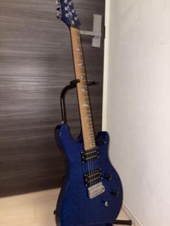 Paul Reed Smith PRS SE Custom 24のサムネイル