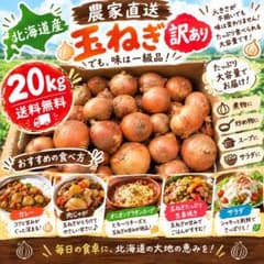 北海道産 農家直送 訳あり玉ねぎ 20kg 送料込み(箱込みの重さ)のサムネイル