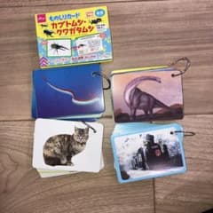 100均 ものしりカードのサムネイル