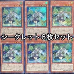 風霊媒師ウィン シークレット 6枚セット シク - メルカリ
