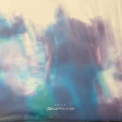 踊ってばかりの国 prism LP アナログ レコード - メルカリ