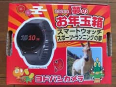 【ヨドバシ 福袋】GARMIN Forerunner 255【未使用品】 ヨドバシ お年玉箱 福袋 2026 GARMIN Forerunner 255 - メルカリ