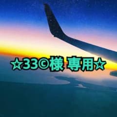 ☆33©︎様専用☆チップとデール☆デール ぬいぐるみのサムネイル