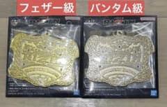 이치 반 쿠지 RIZIN 뇌신 D상 챔피언 벨트 페더급 밴텀급