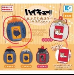 ハイキュー！！ミニフォトホルダーヒナガラスデザインのサムネイル