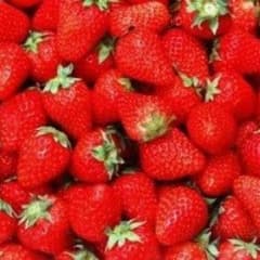 kuuya様専用のサムネイル