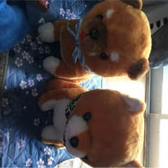 柴犬のぬいぐるみのサムネイル
