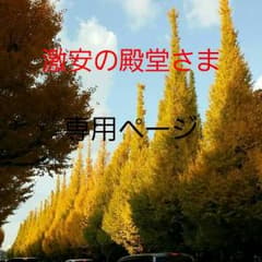 激安の殿堂さま専用ページのサムネイル