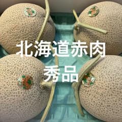 秀品 最安値!!!! 北海道赤肉メロン 新篠津ルピアレッド 4玉8キロ