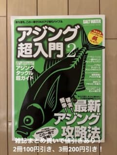 アジング超入門 Vol.2 / 地球丸のサムネイル
