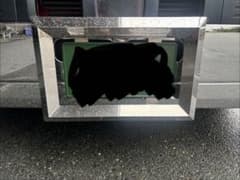 トラック用 ステンレス ナンバーフレーム 突き出しタイプのサムネイル