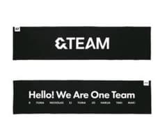 &TEAM エンティーム スローガン タオルのサムネイル
