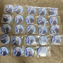 FGO 英霊紀行 霊基召喚缶バッジ アナスタシア 24点 - メルカリ