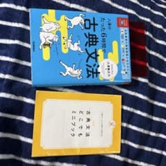 八澤のたった6時間で古典文法のサムネイル