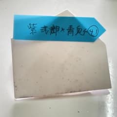 ︎︎ ♀紫式部×♂青鬼  種子   ㊶   多肉植物のサムネイル