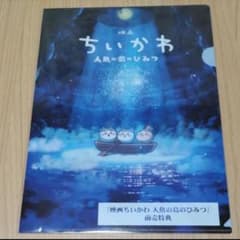 火の鳥NIPPON 女子バレー福袋全員サイン色紙佐藤淑乃石川真佑|mercari