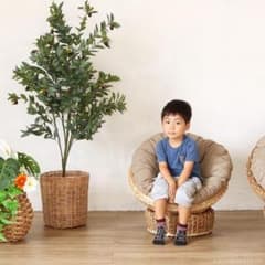 パパサンチェア ミニ ソファー ヒヤシンス ラタン キッズチェア アジアン パパサンチェア ミニ ソファー ヒヤシンス ラタン キッズチェア