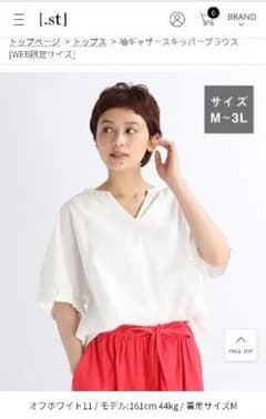 未使用 Studio clip スキッパーブラウス LLのサムネイル