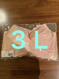 PG-Bra バストサポートナイトブラ　3L ピンクのサムネイル