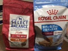 ロイヤルカナン、セレクトバランスのサムネイル