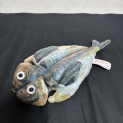 伊東マリンタウン限定　アジの開きくじ　リアルなぬいぐるみ　魚のサムネイル