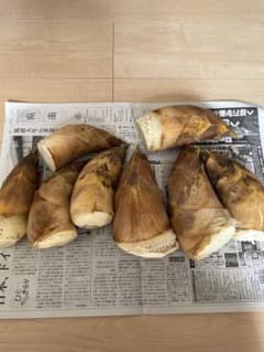 茨城県産　たけのこ　タケノコ　筍　4.3kg 本日発送のサムネイル