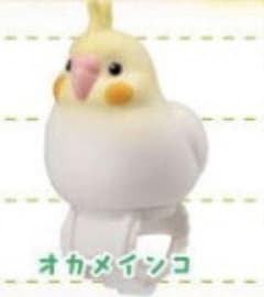 ちい様専用のサムネイル