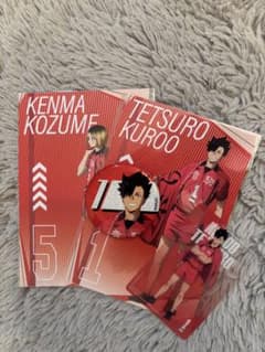 ハイキュー!!音駒 黒尾・研磨セットのサムネイル