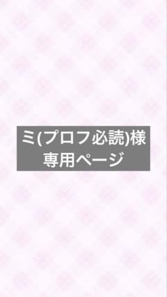 ミ(プロフ必読)様 専用ページのサムネイル