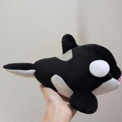 神戸須磨シーワールド　シャチ ぬいぐるみ オルカのサムネイル