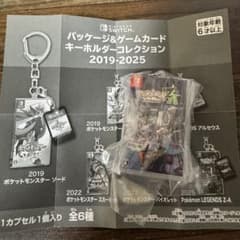 ポケモン パッケージ＆カートリッジキーホルダー LEGENDS ZA - メルカリ