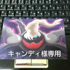 キャンディ様専用取引品のサムネイル