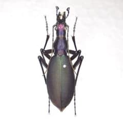 m92964856565_1.jpg?1774100030