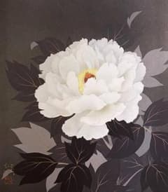 板倉公明、【白牡丹】、希少な額装用画集より、新品額装付、状態良好