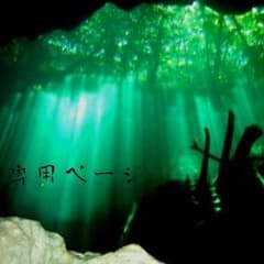 まぬばちょふ様専用のサムネイル