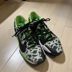NIKE バスケットボールシューズ　Zoom Freak 2 Naijaのサムネイル